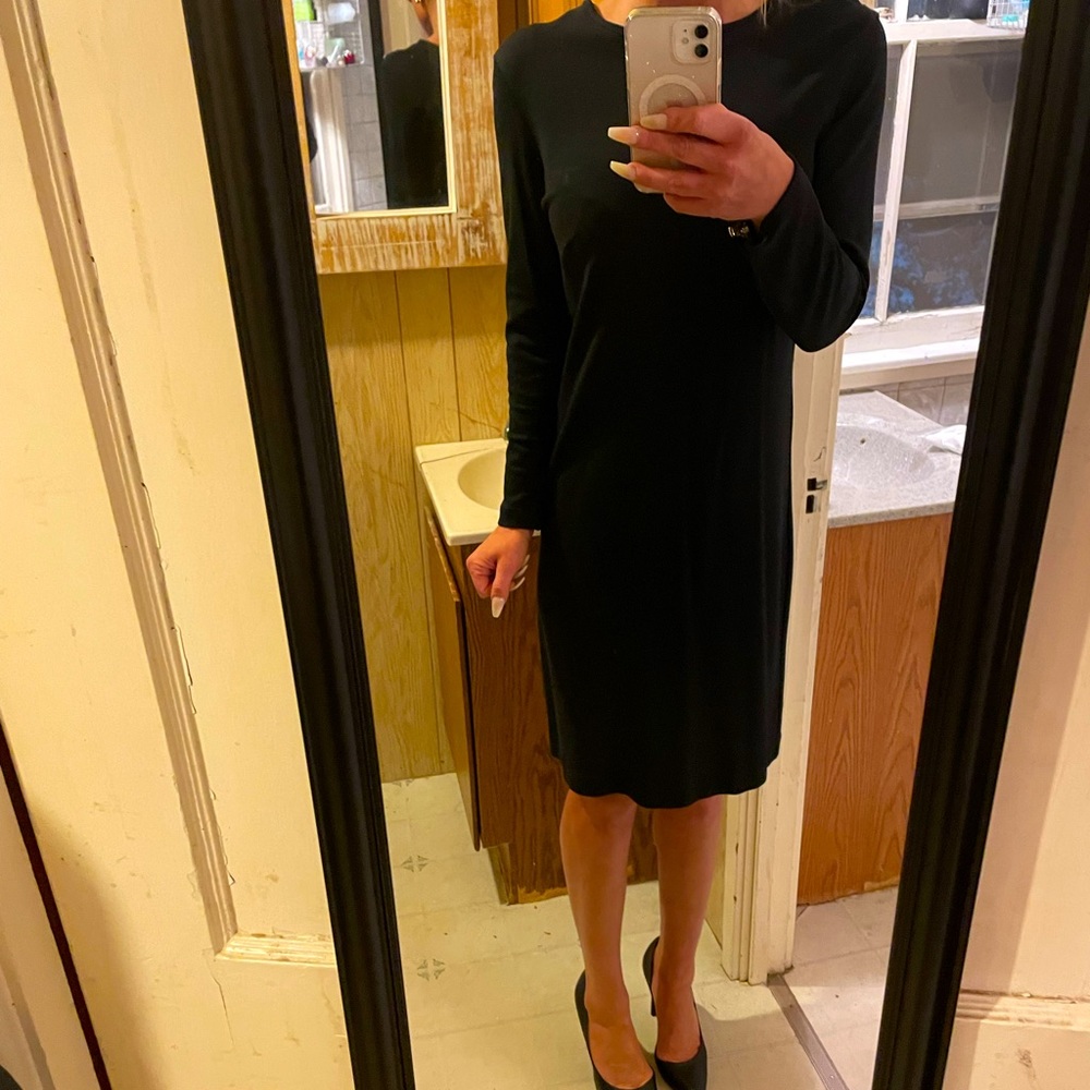 Ann Taylor Ponte Dress